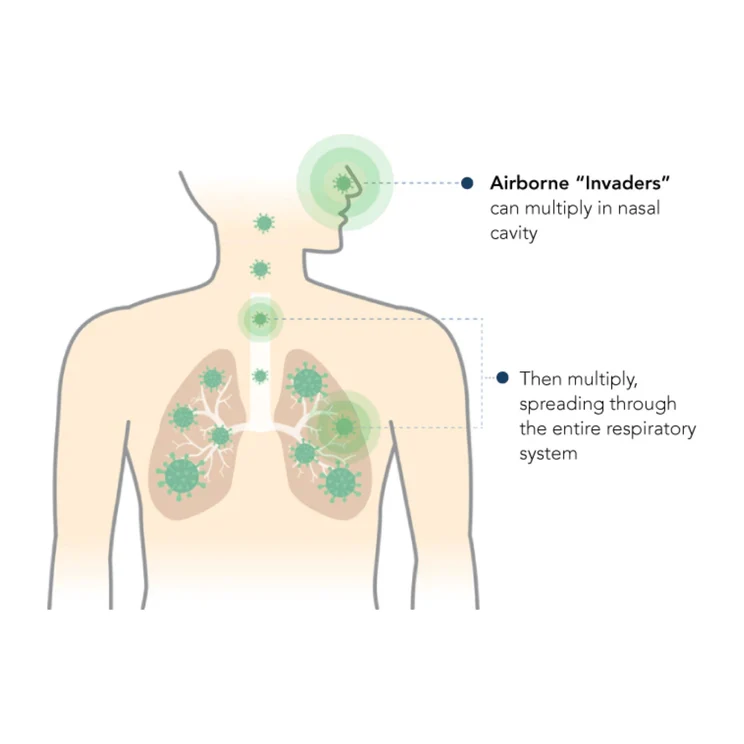 Why use a nasal cleanse — airborne invaders diagram